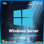 Microsoft Windows Server 2022 Standaard