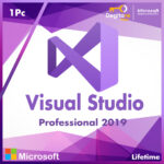 Microsoft Visual Studio 2019 Professional Lifetime (1PC)